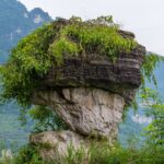 3-Day Chengdu Classical Private Tour:Chengdu Panda Base&Dujiangyan Dam & Mt.Qingchengshan && Qingyang Taoist Palace & Temple of Marquis