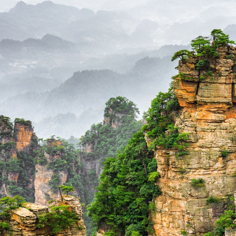 Zhangjiajie National Forest Park Private Day To...