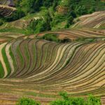 3-Day Guilin Private Highllight Tour:Dragon-Back Terraced Fields & Flute Reed Cave&Li River Cruising and Yangshuo Ancient Town