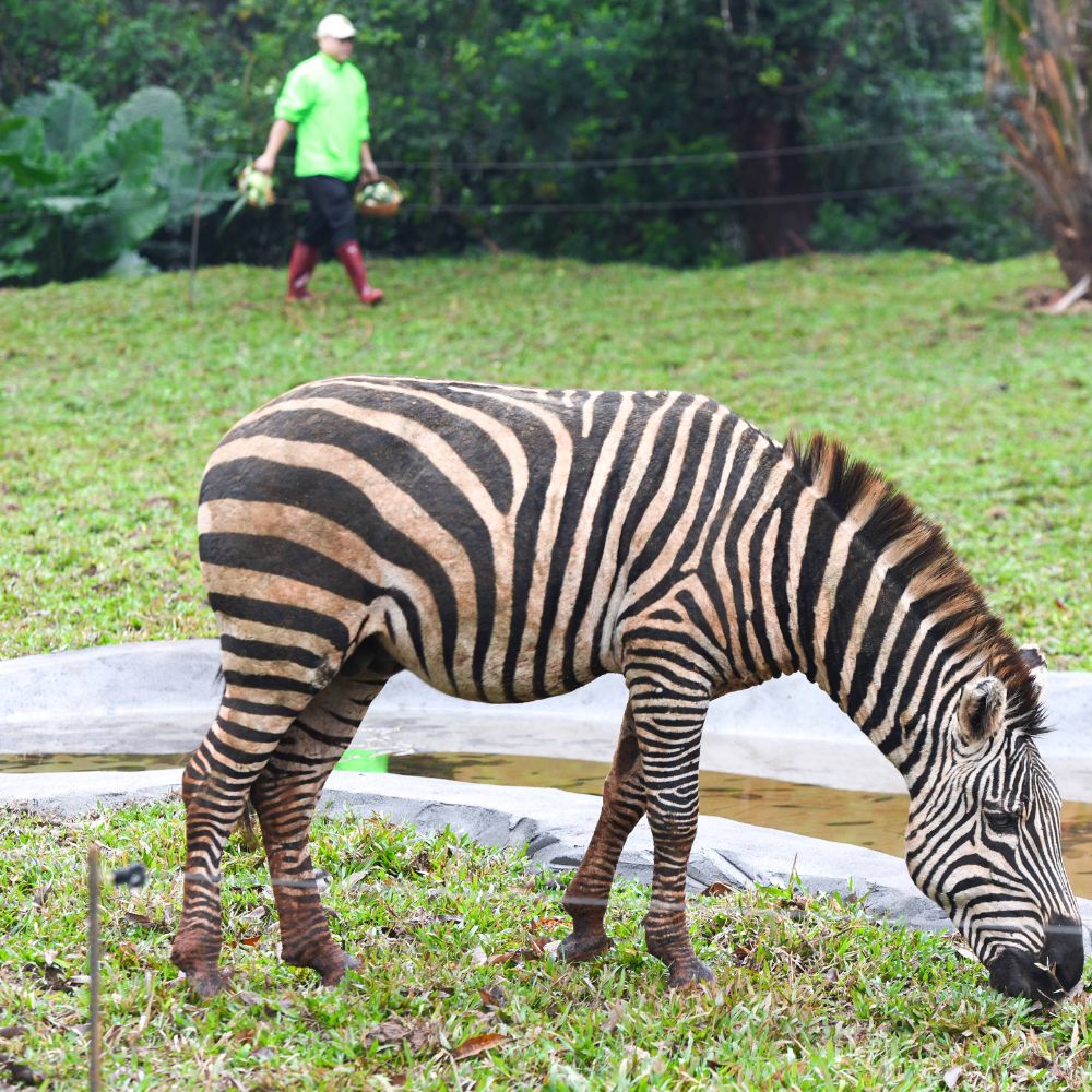 2-Day Sanya → Haikou Luxury Private Tour with H...