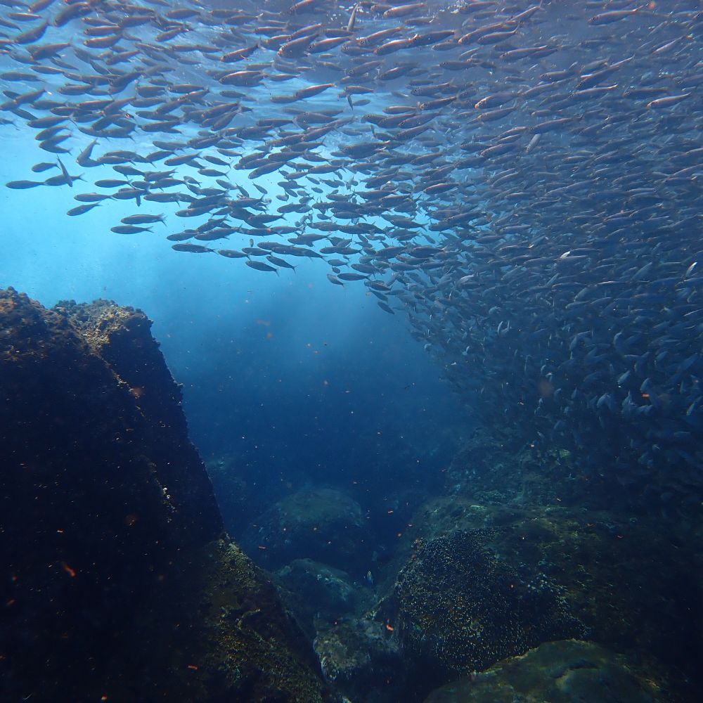 Sanya Dreamy Shuangfan Rock Diving Private One-...